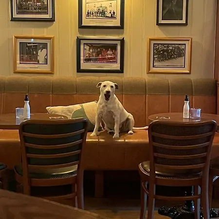 Кемпинг Luxurious Stoneyford