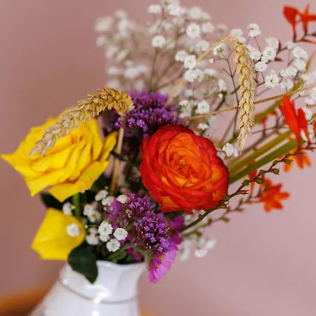 Кемпинг Luxurious *