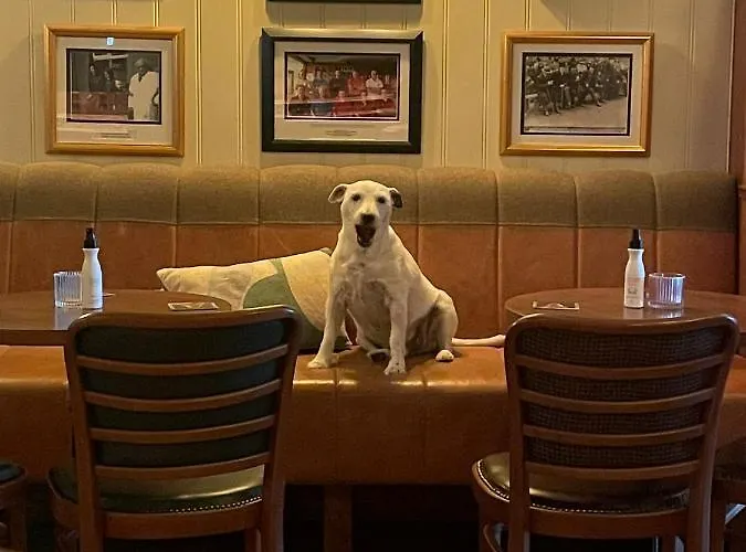 אתר קמפינג Luxurious Stoneyford